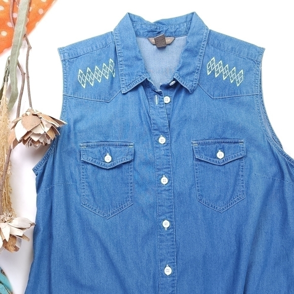 Bit n Bridle Blue Cotton Rayon Blend Sleeveless Dress Sz L - Picture 2 of 10